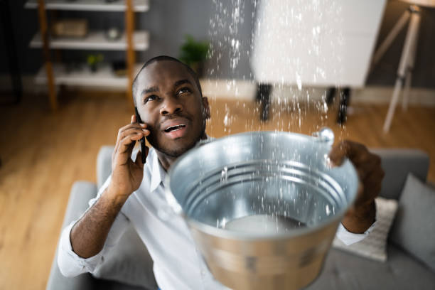 Best Mold removal after water damage  in Murfreesboro, TN