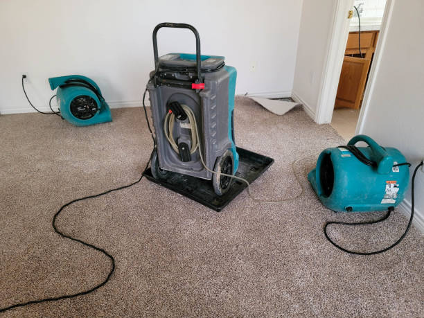 Reliable TN Water damage restoration Solutions