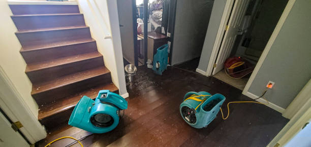 Best Water damage restoration experts  in Murfreesboro, TN