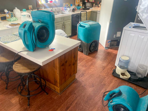Best Mold removal after water damage  in Murfreesboro, TN