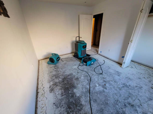 Best 24-hour water damage restoration  in Murfreesboro, TN