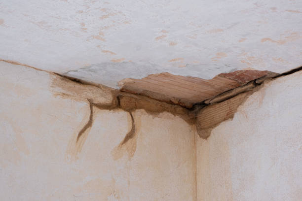 Reliable TN Water damage restoration Solutions
