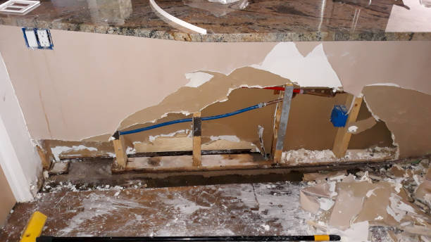 Best Water damage cleanup near me  in Murfreesboro, TN