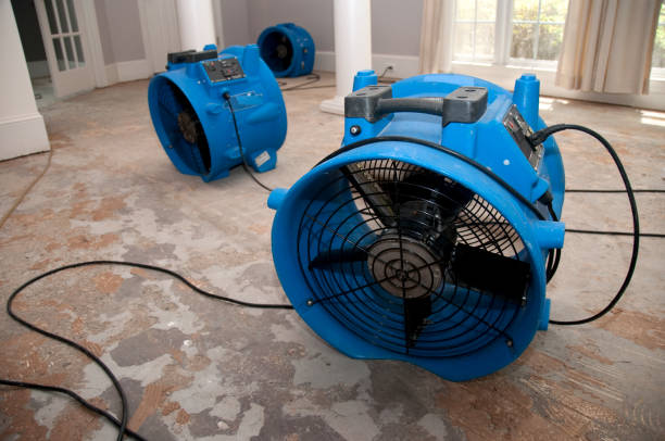 Best 24-hour water damage restoration  in Murfreesboro, TN