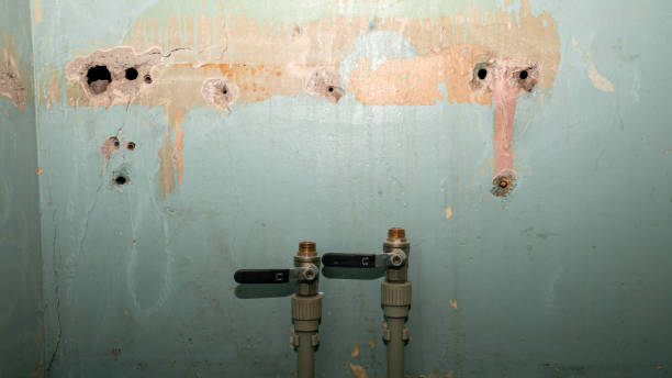 Best Emergency water damage restoration  in Murfreesboro, TN