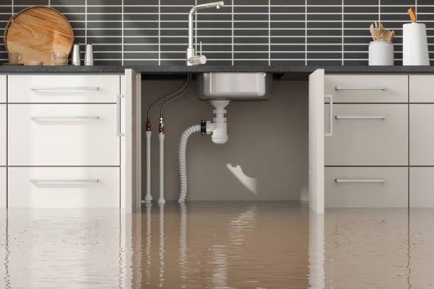 Best Carpet water damage restoration  in Murfreesboro, TN