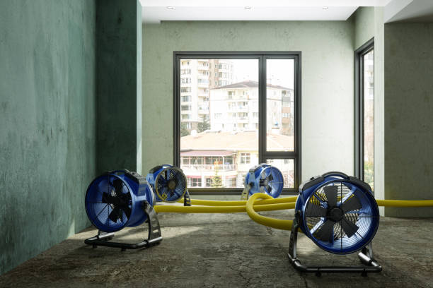 Best Emergency water damage restoration  in Murfreesboro, TN